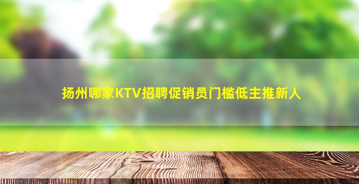 扬州哪家KTV招聘促销员门槛低主推新人